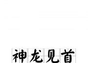 开云体育app-神龙见首不见尾！球队精彩表现