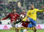 开云下载-瑞典备战欧预赛，球迷期待好表现