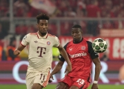 开云下载-包含拜仁慕尼黑队员赛后深夜聚会，球员形象受损的词条