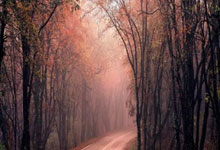 开云平台-澳大利亚网球队爆冷德国网球界震动纳达尔意外送出“助攻”