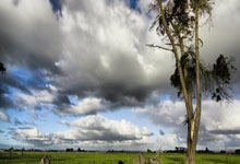 开云体育APP下载-HLE碾压FNC，Ssumday关键制胜：你不知道的电竞神奇时刻