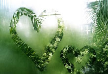 开云体育在线-TL碾压HKA，Vetheo统治全场：电竞巅峰再现，传奇舞台上的绝世风采