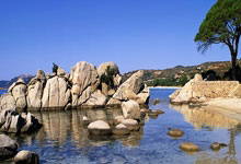 开云体育app-瑞典队完胜韩国队，水谷隼逆转奇迹：乒坛风云再起