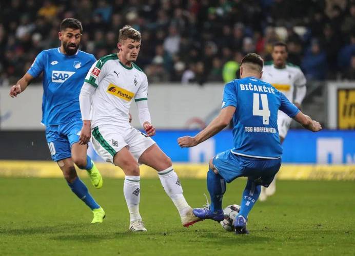 霍芬海姆称霸德国足球联赛赛场的简单介绍 霍芬海姆称霸德国足球联赛赛场的简单介绍